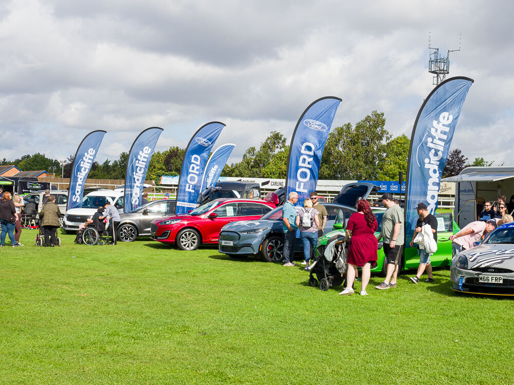 Ford cars line-up